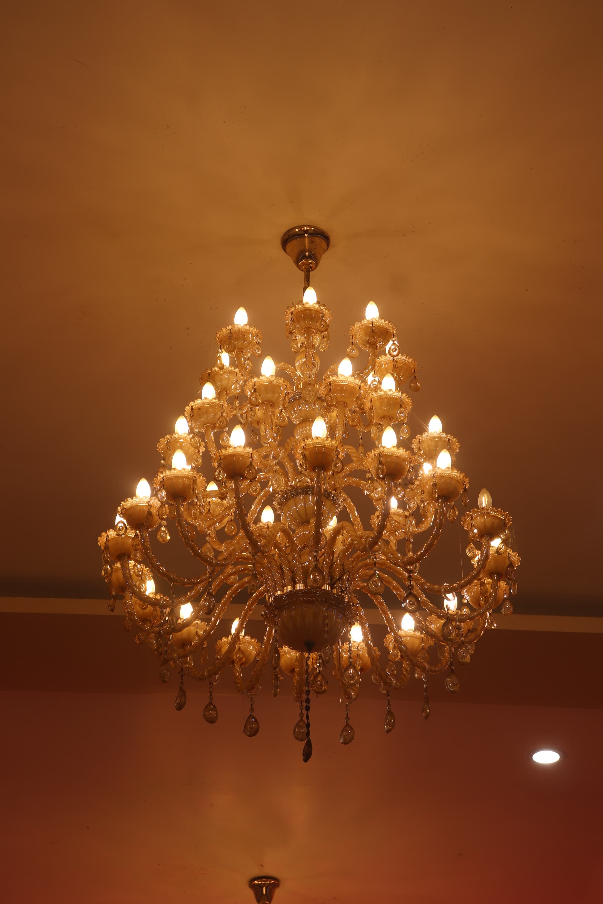 Opulent Crystal Chandelier